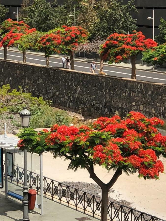 San Sebastian 65 Apartment Santa Cruz de Tenerife Ngoại thất bức ảnh